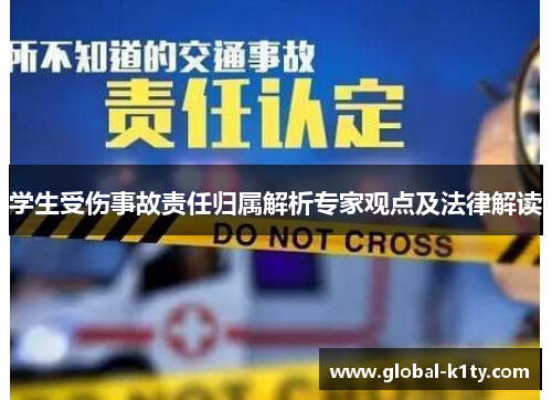 学生受伤事故责任归属解析专家观点及法律解读