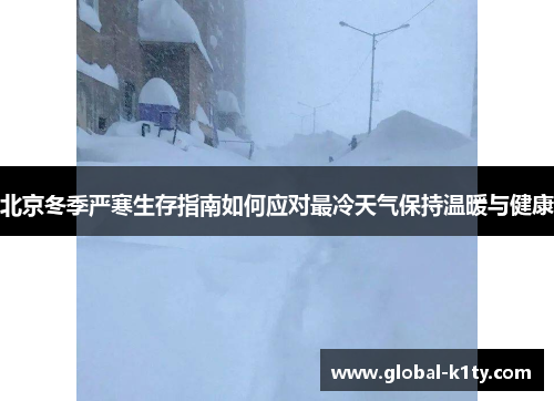 北京冬季严寒生存指南如何应对最冷天气保持温暖与健康