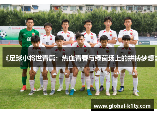 《足球小将世青篇：热血青春与绿茵场上的拼搏梦想》